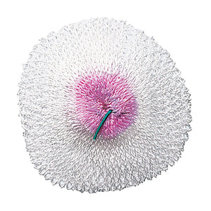 COMPANION LANTERN MANTLE S2 SINGLE TIE