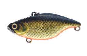 JACKALL TN50 [Cl:HL GOLD BLACK]