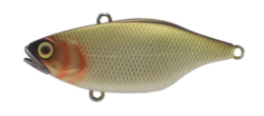 JACKALL TN70 [Cl:BROWN DOG]