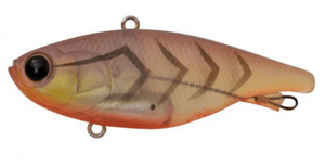 JACKALL MASK VIB 60 [Cl:BROWN SUJI SHRIMP]