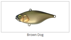 JACKALL TN38 [Cl:BROWN DOG]