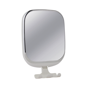 COMPANION SUCTION MIRROR