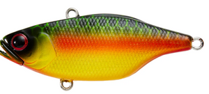 YAKAMITO RABID VIBE 60 HARD BODY VIBE LURE [Cl:RAINBOW TROUT]