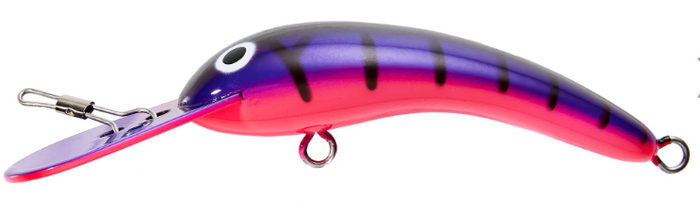 LIVE NATIVE WOGGALEYE 130 HARD BODY LURE