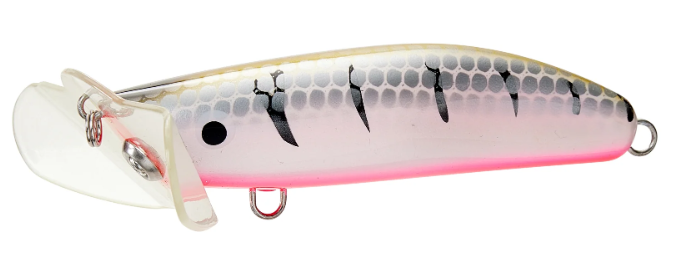 LIVE NATIVE SKUTTLEBUTT SURFACE LURE