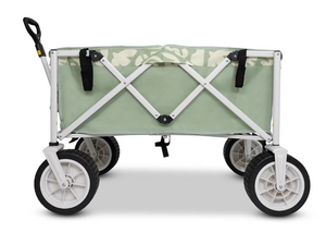 LIFE! BEACH CART [Cl:EDEN DELMAR]