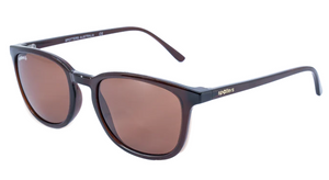 SPOTTERS SAGE GLOSS BROWN HALIDE 6B SUNGLASSES